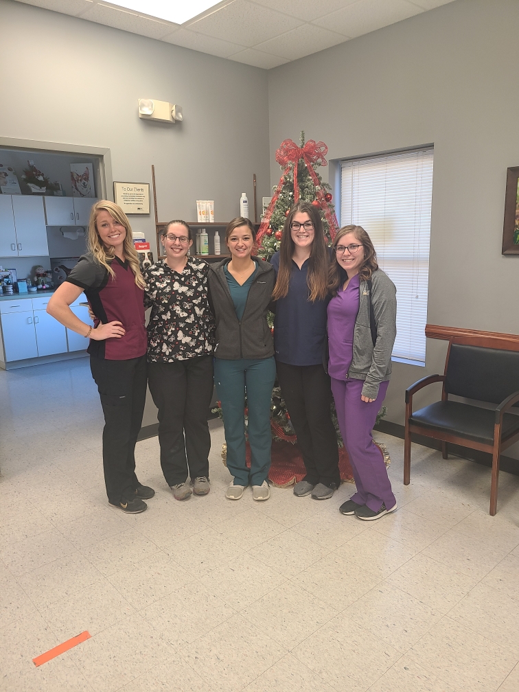 Veterinary Technicians